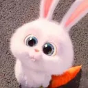 bgmi_ayu_qt bgmi_ayu_qt