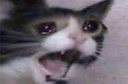 emoji_17 Discord emoji