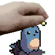 pets