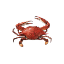 crabby Discord emoji