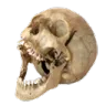 MHG_deadlmao