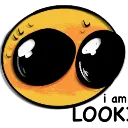 lookign