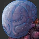 expansionbrain expansionbrain