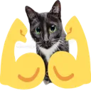 strong_cat