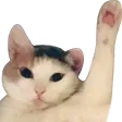 Catbye Discord Emoji