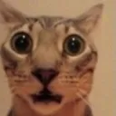 ohmygod ohmygod