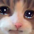 Sad Sad