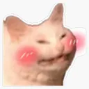 catblush