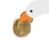 HonkGil