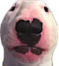 walter