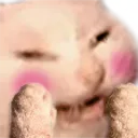Catblush