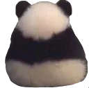 SCsmolangeryPANDA
