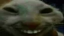 xdd