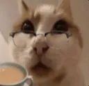 teatime teatime