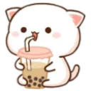 Bobacat bobacat Discord Emoji