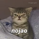 Nojao