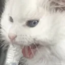 aaaaa