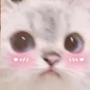 ATL_blushcat Discord Emoji