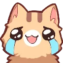 cry