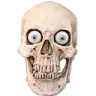 skull1