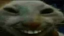 xdd