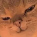 HeHe