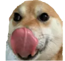 gjlsdfjkds