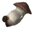 VMushroom Discord Emoji