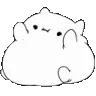 bongofat bongofat