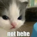 Nothehe nothehe Discord Emoji