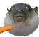 pufferfish