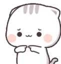 catshy