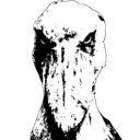shoebill