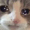sadcat Discord Emoji