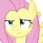 horse horse