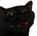 cate cate