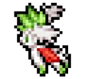 SkyShay_Spin