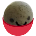roc_but_more_rice