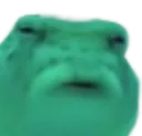 bruhfish