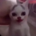 amimegutalapepsi Discord Emoji