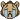 cry