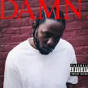 DAMN DAMN
