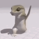 lizard