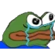 pepecrydge Discord Emoji