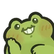 froggoprecious froggoprecious
