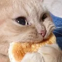bread bread