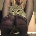 catfeet