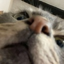 aa_louisyes Discord emoji