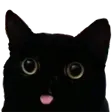catmelm