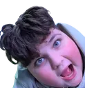 zanyfish